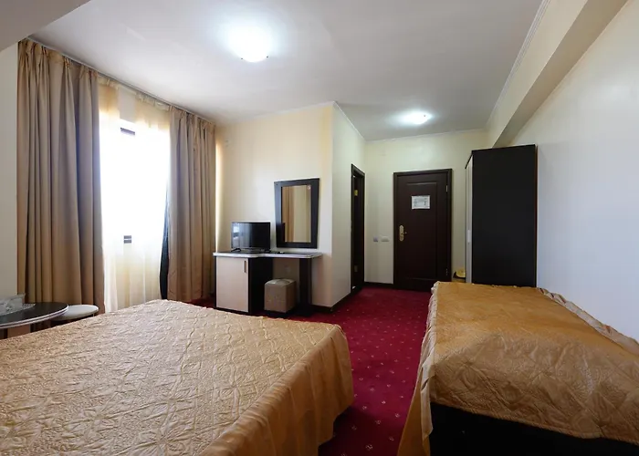 Coral אפורי נורד